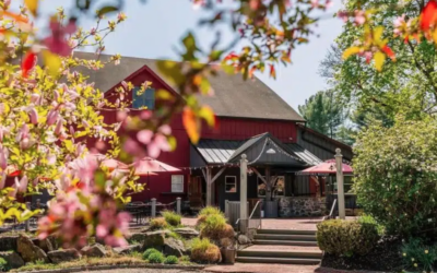Founding Family Puts Chaddsford Winery On Market for $4.5 Million